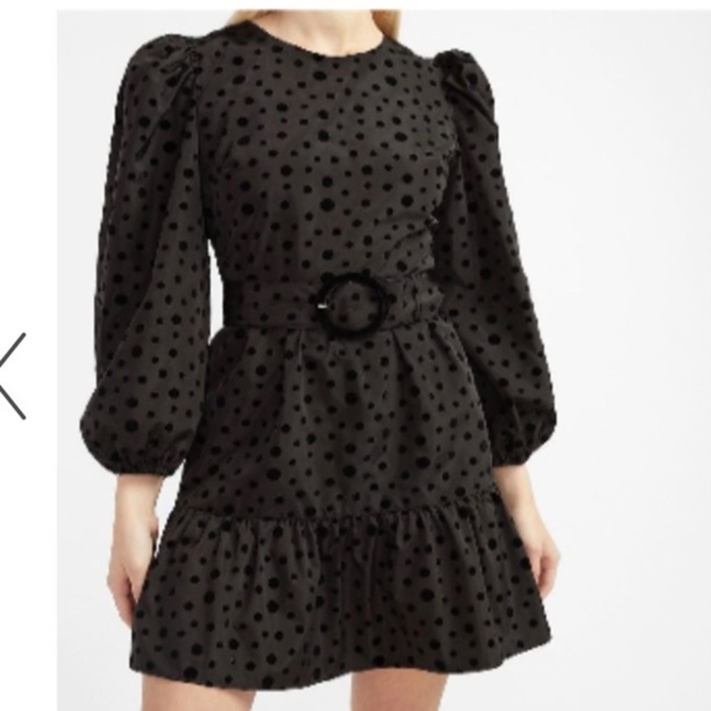 NWT Express Puff Sleeves Polka Dot Dress